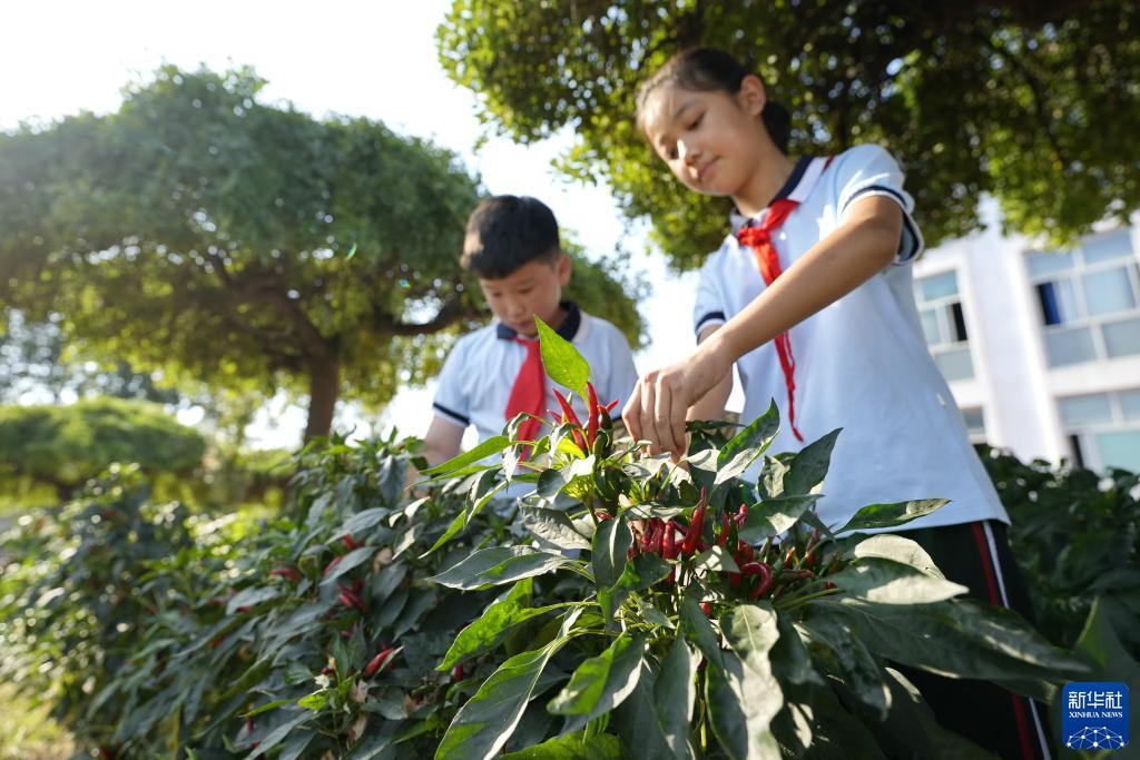 捕鱼大作战官方正版下载安装